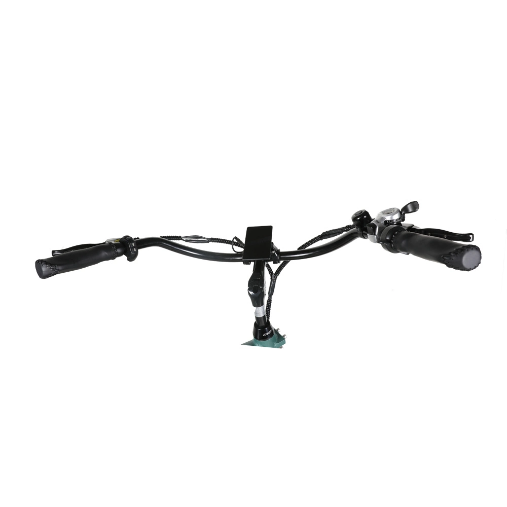 Bicicletta elettrica Triciclo Triciclo a 3 ruote Mountain Bike