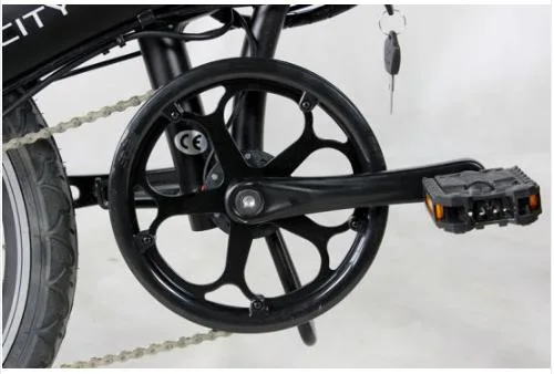 Mini bicicletta elettrica pieghevole da 250 W con ruote da 20 pollici