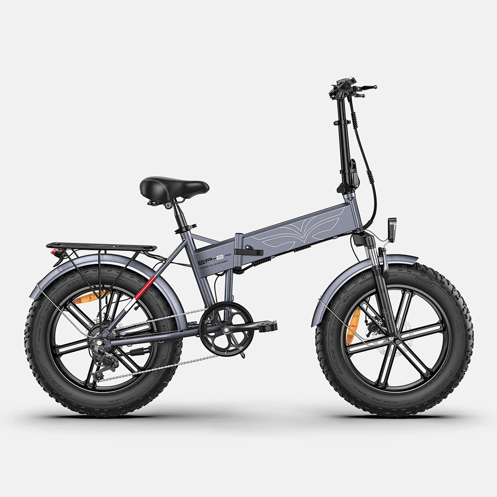 48V13A 42km/H bicicletta elettrica 20inch Fat Tire 750W Mountain Electric Bicicletta