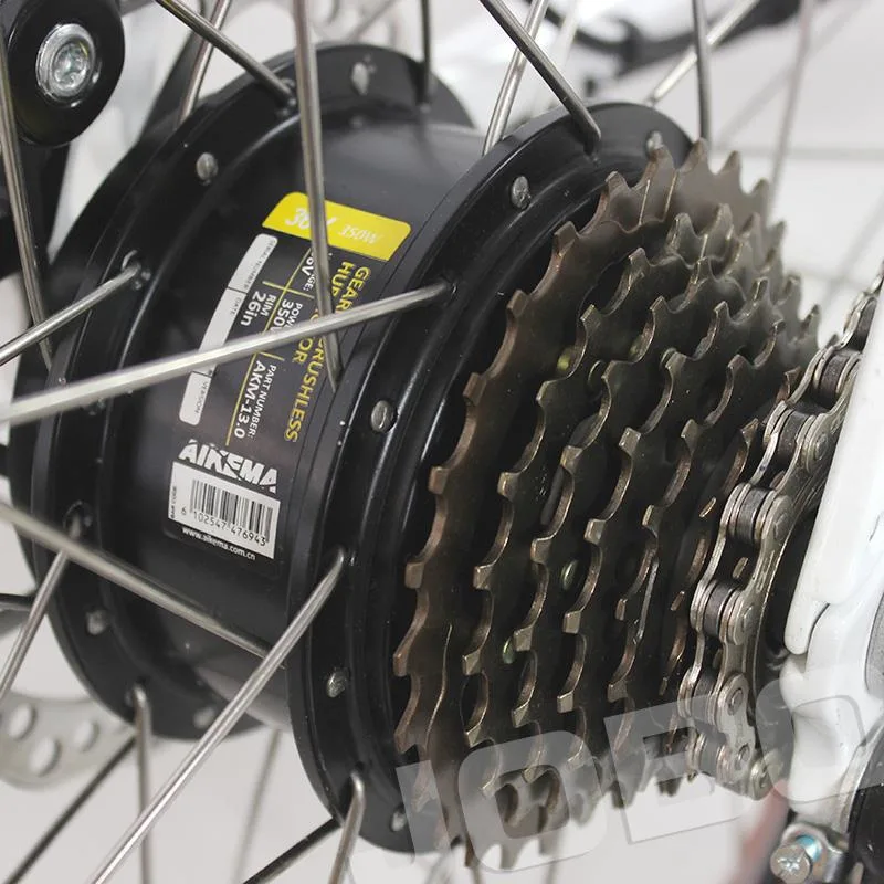 Bici elettriche City Lady da 48V500W per adulti con carrier
