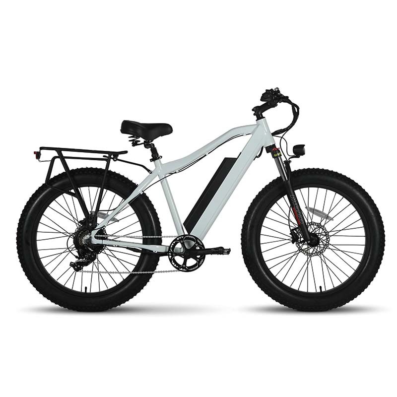 Bicicletta elettrica a lunga portata 60km 750W US Fat Tire Mountain bike elettrica con batteria