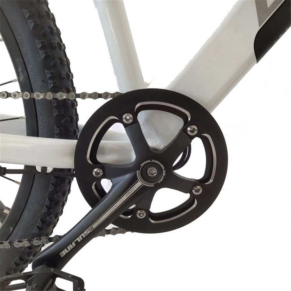 Bicicletta elettrica elettrica da 48V 500 W Bike48V 750W Bicycle48V Ebike48V