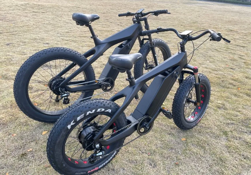 Bici elettrica da 500 750 pollici Dirtbike 20 26 Bici elettrica