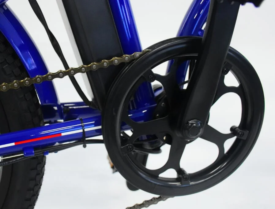 20 pollici di acciaio Lighium batteria Donne City biciclette elettriche