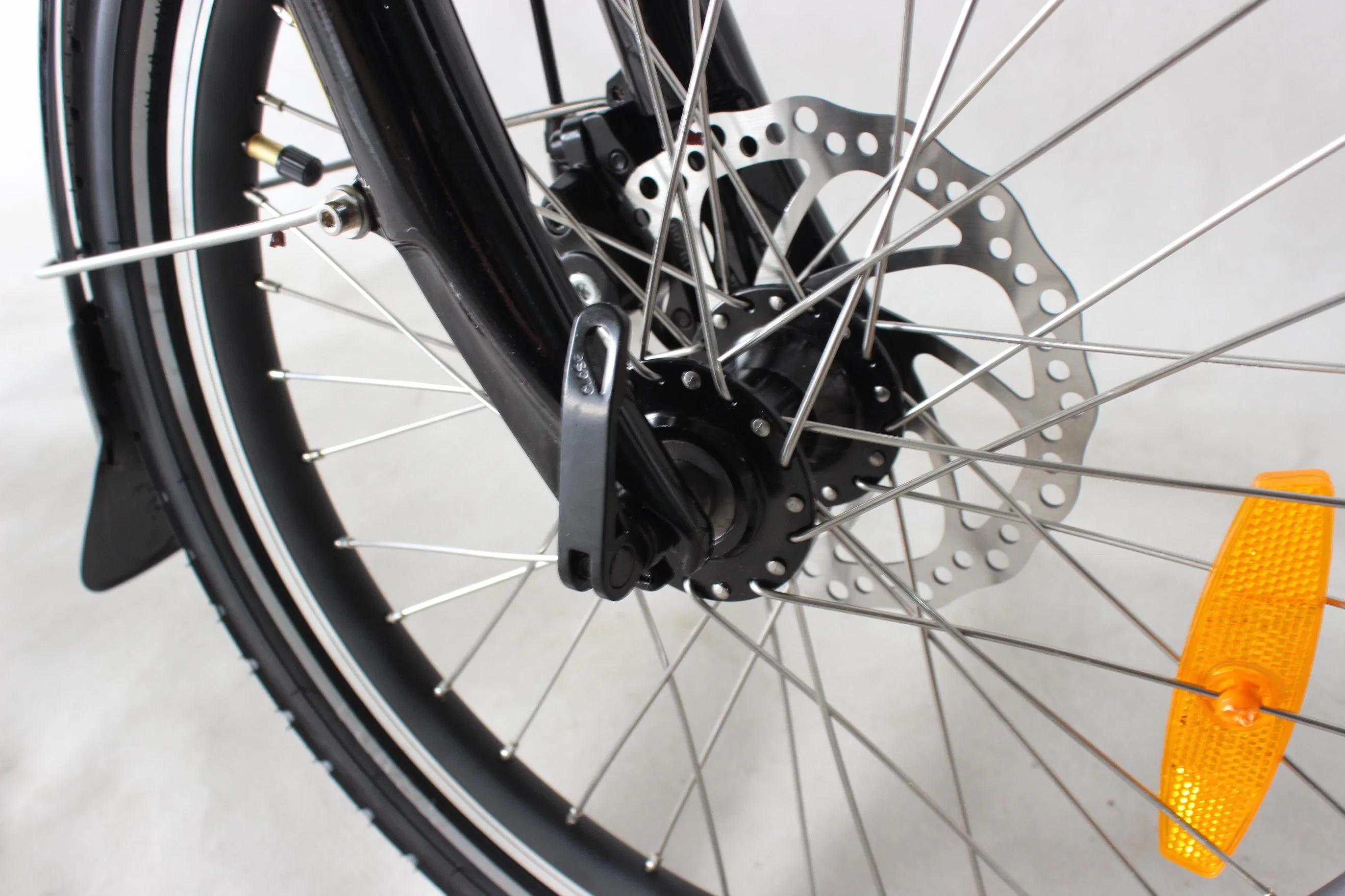 Bicicletta elettrica pieghevole da donna da 20 pollici Ebike