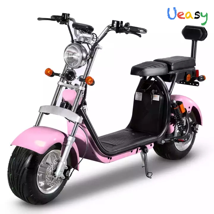 Nuova moto elettrica bici elettrica con passeggeri 60 V 1500 W Adulti Cross-Country