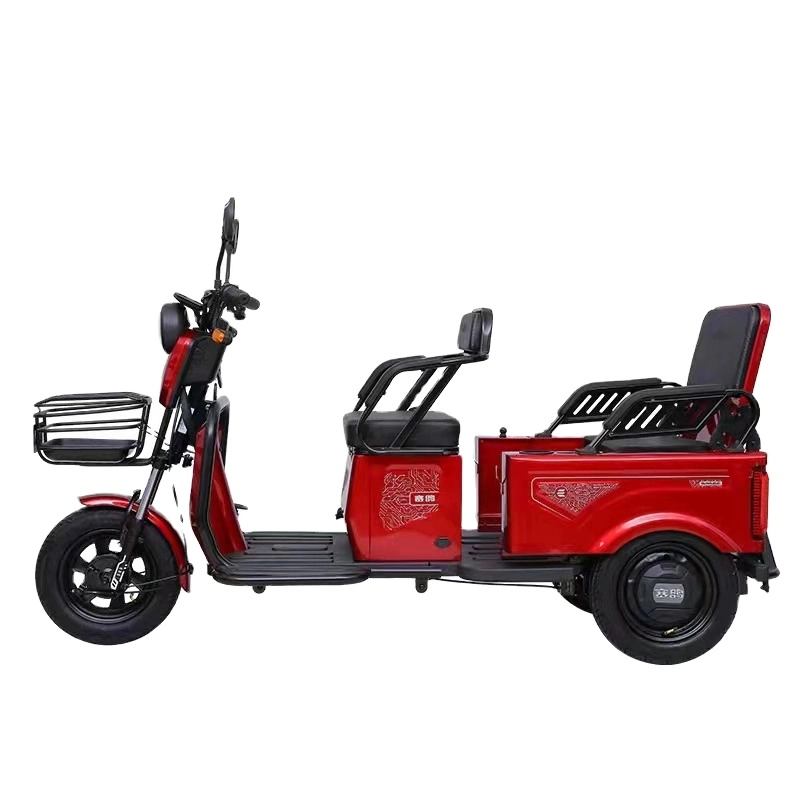 Bicicletta elettrica a tre ruote Saige EEC con triciclo elettrico a pedale da 1000 W. Per Disabilitato