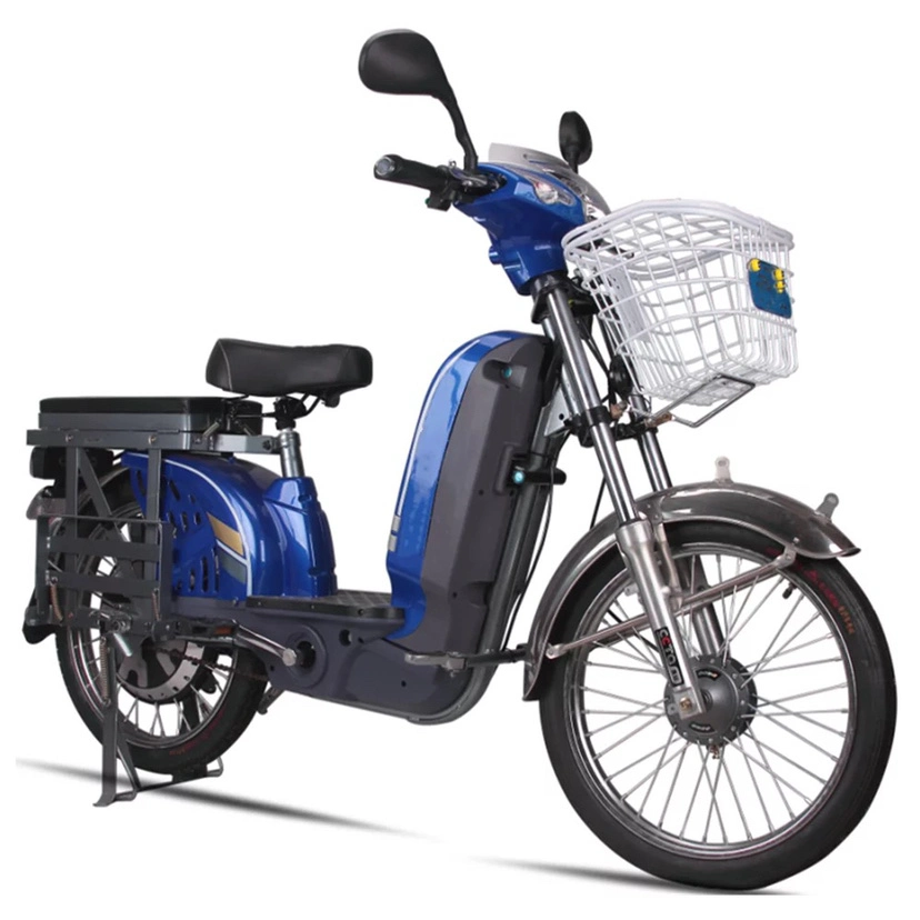 48V 60V carico di cargo bicicletta elettrica bicicletta elettrica a buon mercato per Vendita
