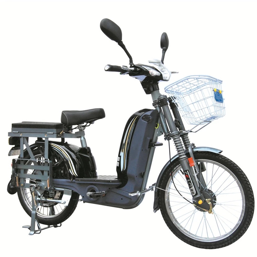 48V 60V carico di cargo bicicletta elettrica bicicletta elettrica a buon mercato per Vendita