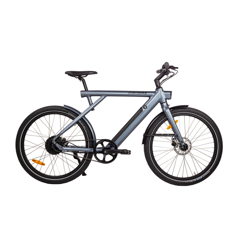 Bicicletta elettrica da strada con fatbike 26 in lega di alluminio 36V14ah Bafang 36 V250W