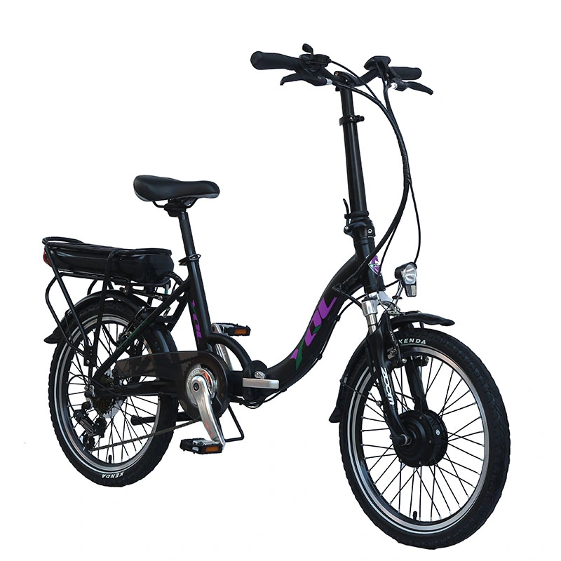 Fabbrica di biciclette elettriche Lady New Fashion Walking Bike