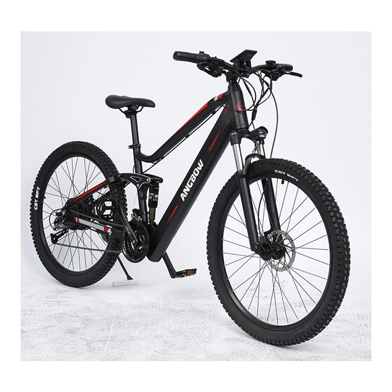 Bicicletta elettrica da montagna bicicletta elettrica da 500 W, elettrica a coda morbida
