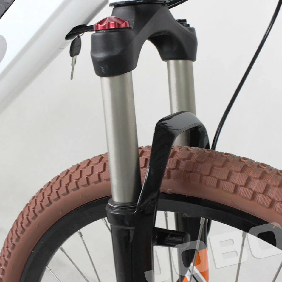 Bici elettriche City Lady da 48V500W per adulti con carrier