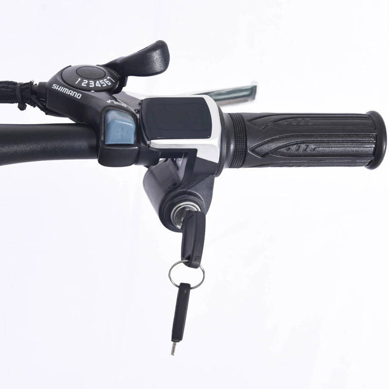 Bicicletta elettrica da 26" 36V e Bike 250W bicicletta elettrica bicicleta Per City Bike