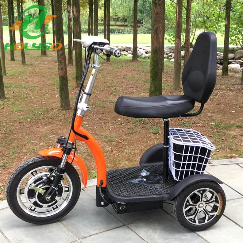 Triciclo passeggero elettrico triciclo/triciclo elettrico per passeggeri chiusi per l&#39;ingrosso