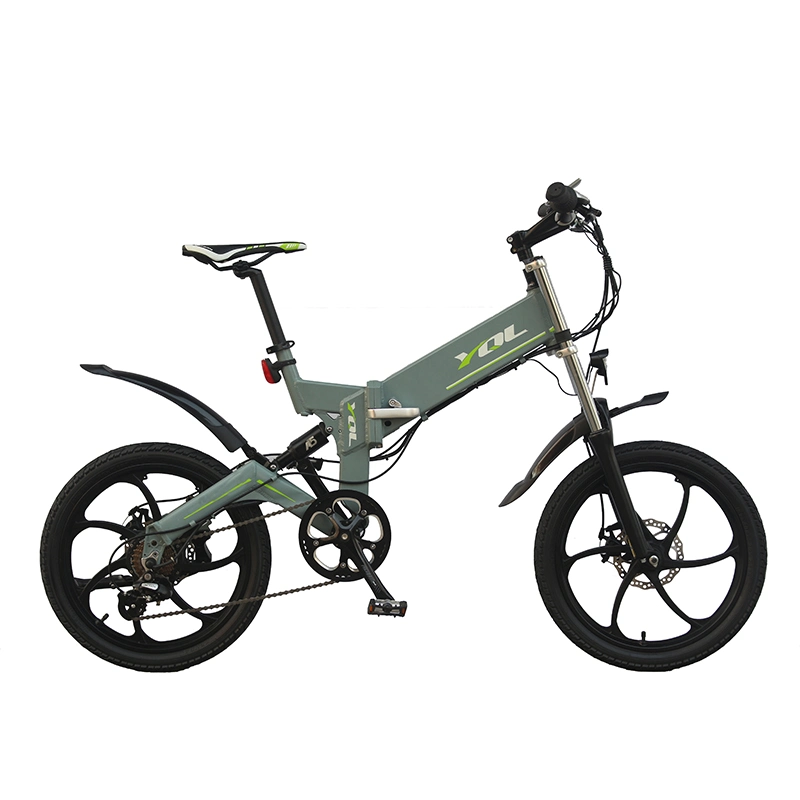 Fabbrica di biciclette elettriche Lady New Fashion Walking Bike