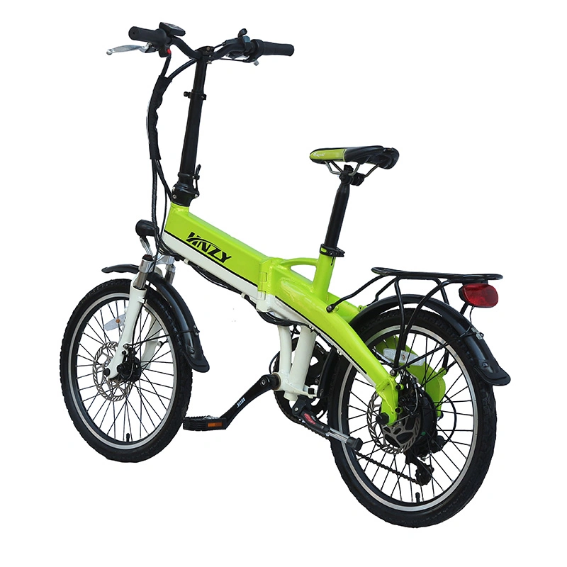 Fabbrica di biciclette elettriche Lady New Fashion Walking Bike