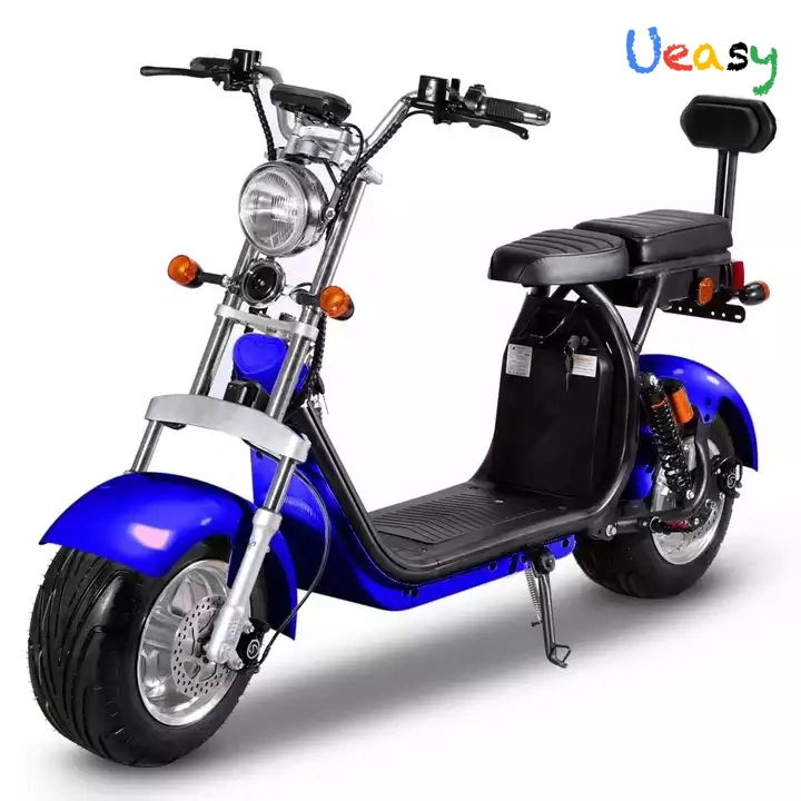 Nuova moto elettrica bici elettrica con passeggeri 60 V 1500 W Adulti Cross-Country