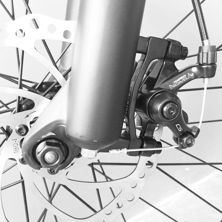 Potente bici da neve Aluminium Mountain Beach per adulti