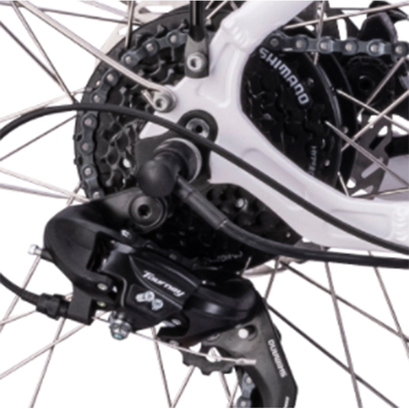 Bicicletta elettrica per pendolari con telaio in lega non forabile da 250 W, 500 W.