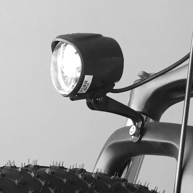 Potente bici da neve Aluminium Mountain Beach per adulti