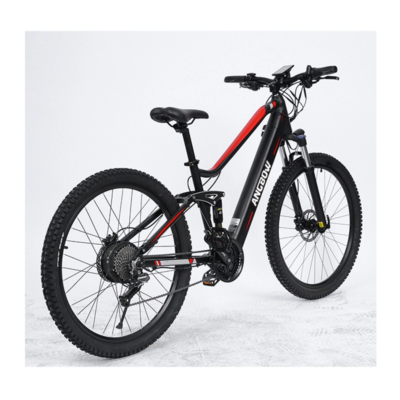 Bicicletta elettrica da montagna bicicletta elettrica da 500 W, elettrica a coda morbida