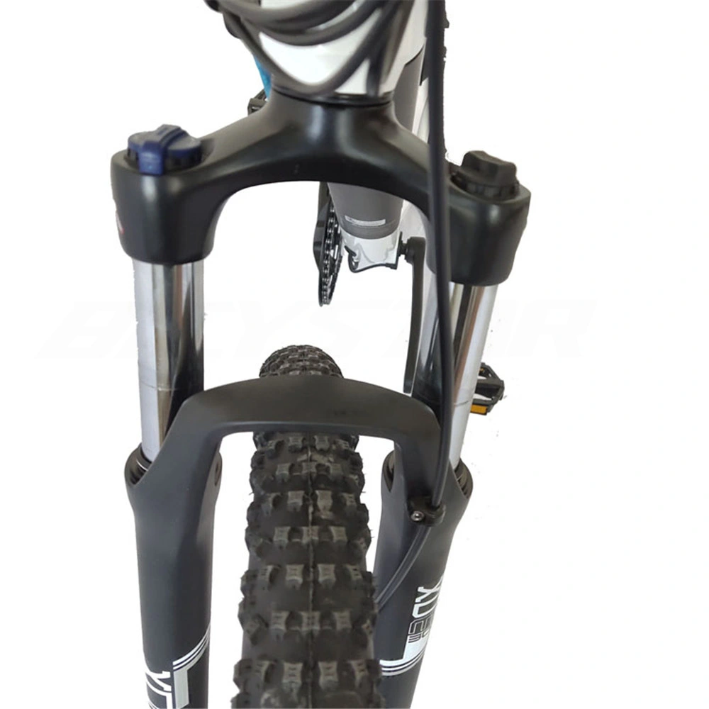 Bicicletta elettrica elettrica da 48V 500 W Bike48V 750W Bicycle48V Ebike48V
