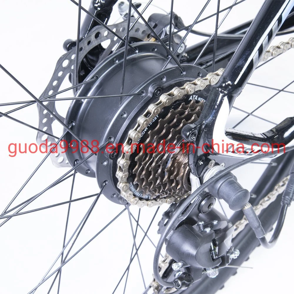 Bicicletta elettrica da 300 W con batteria al litio da 36 V