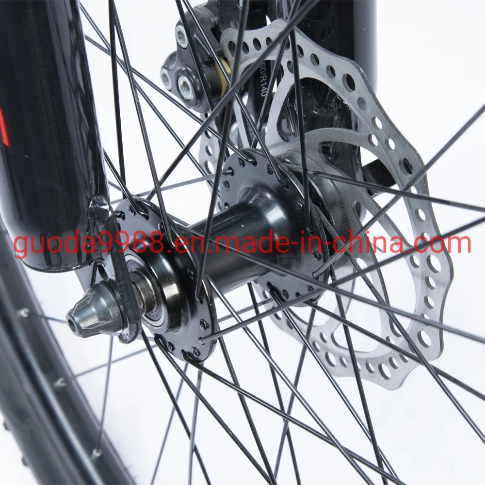 Bicicletta elettrica da 300 W con batteria al litio da 36 V