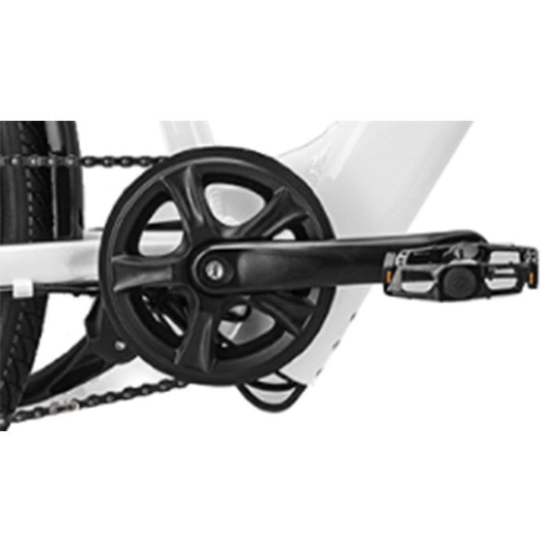 Bicicletta elettrica leggera ricaricabile da 350 W Hub Motor City Electric Bicycle Per donna