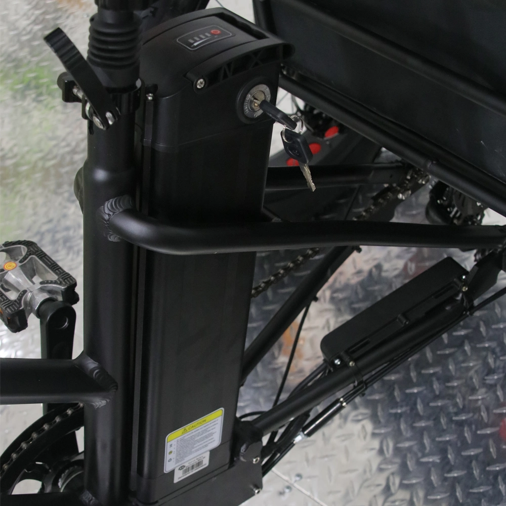 Bicicletta elettrica da corsa a 3 ruote /triciclo /triciclo con freni a disco