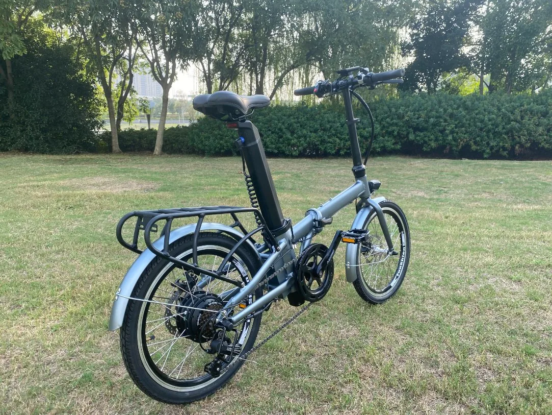 Bicicletta elettrica Ebike per adulti non piegata