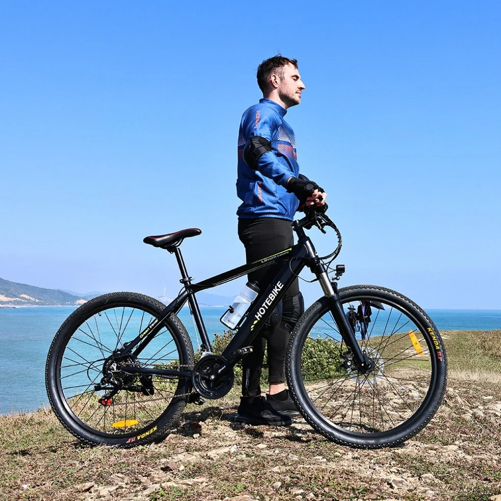 Stock Ebike Hard Tail 26 27.5 pollici 29er 250W e Mountain Bike bicicletta elettrica per adulti