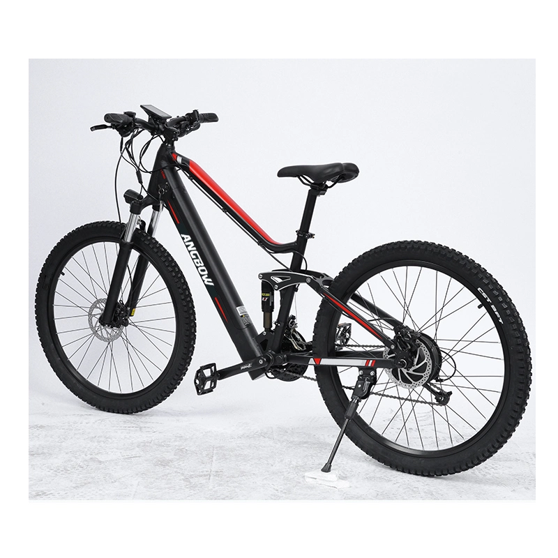 Bicicletta elettrica da montagna bicicletta elettrica da 500 W, elettrica a coda morbida