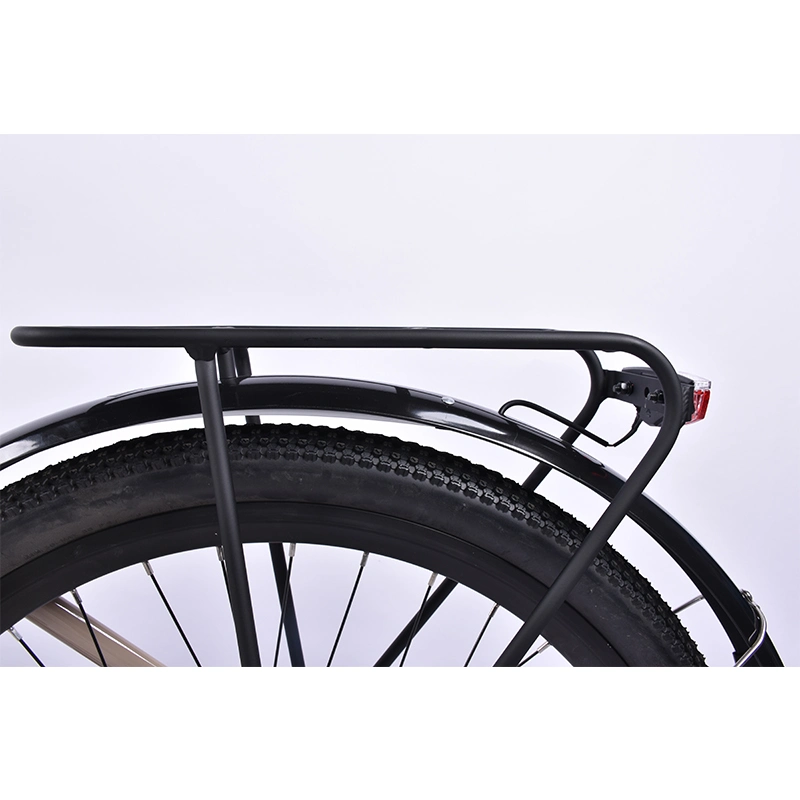500 W nuovo ciclo elettrico di Guangzhou per l&#39;Europa / senza tassa di scarico