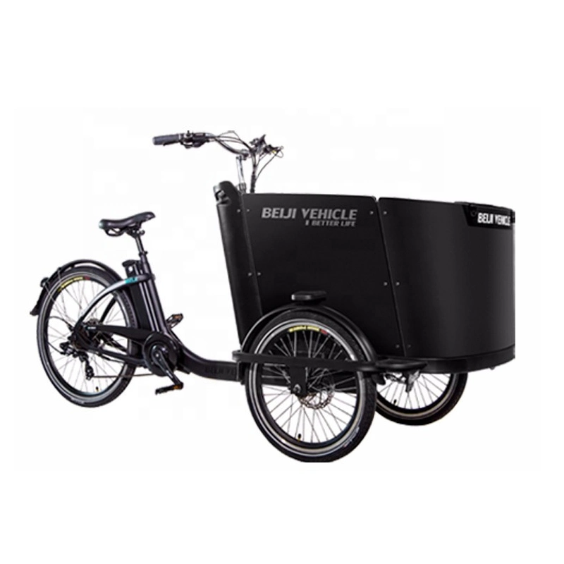 Bicicletta da carico tre ruote trike elettriche per trasporto bambino O Frocery uso familiare