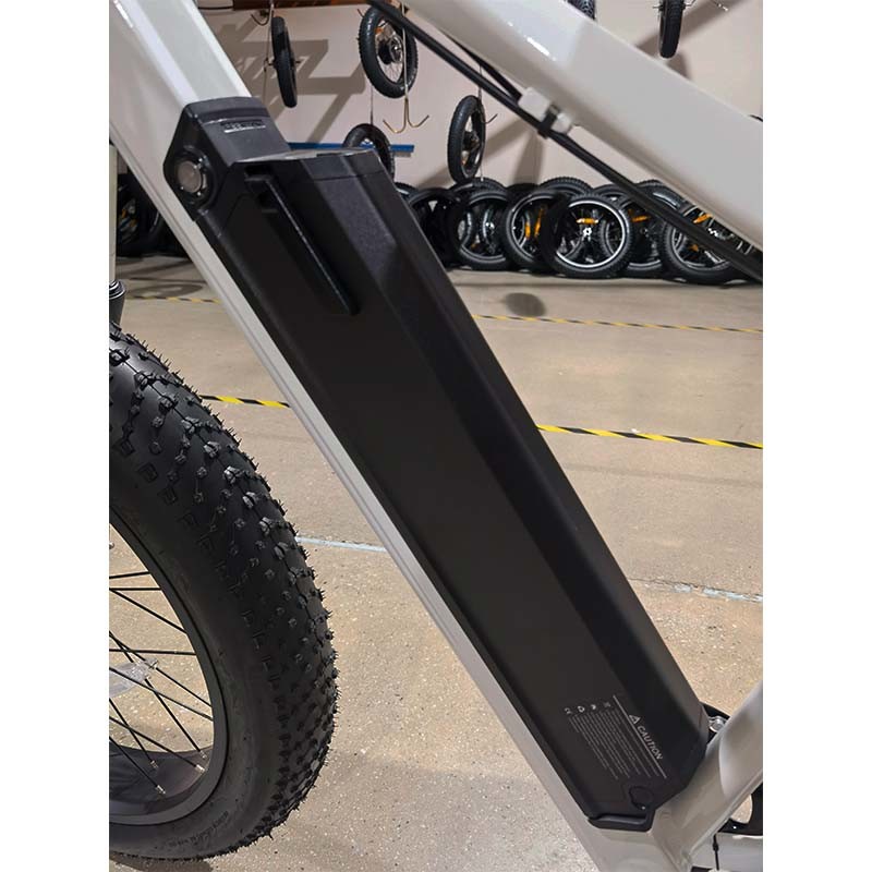 Bicicletta elettrica a lunga portata 60km 750W US Fat Tire Mountain bike elettrica con batteria