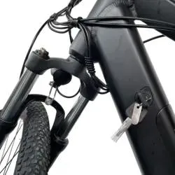 2023 Chanson 36V 250W bicicletta elettrica senza spazzole 21 velocit&#224; montagna Bicicletta elettrica