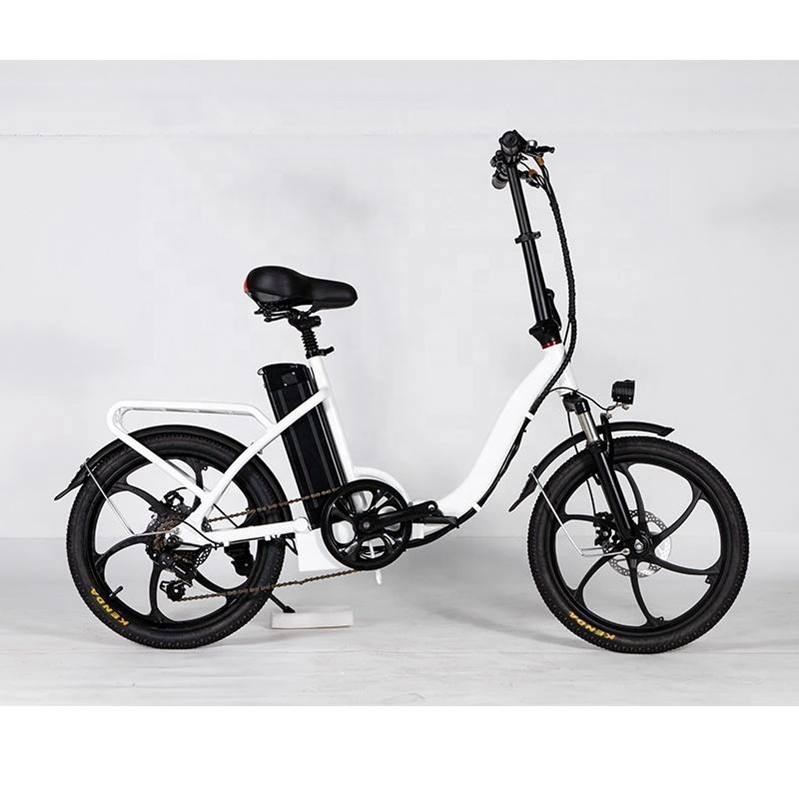 Batteria Premium da 20 ah da 350 W per bicicletta elettrica pieghevole 48 V Bicicletta urbana