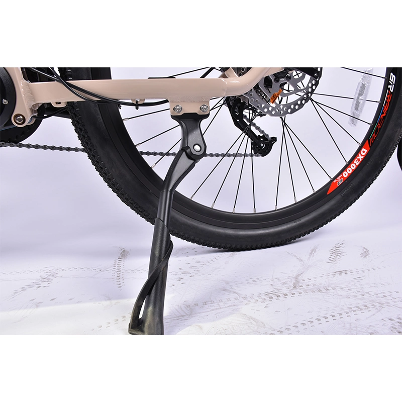 500 W nuovo ciclo elettrico di Guangzhou per l&#39;Europa / senza tassa di scarico