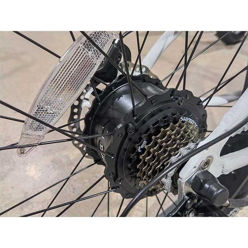 Bicicletta elettrica a lunga portata 60km 750W US Fat Tire Mountain bike elettrica con batteria