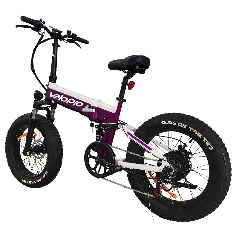 Forcella sospensione FAT Tire elettrica pieghevole Bike elettrica Moto elettrica