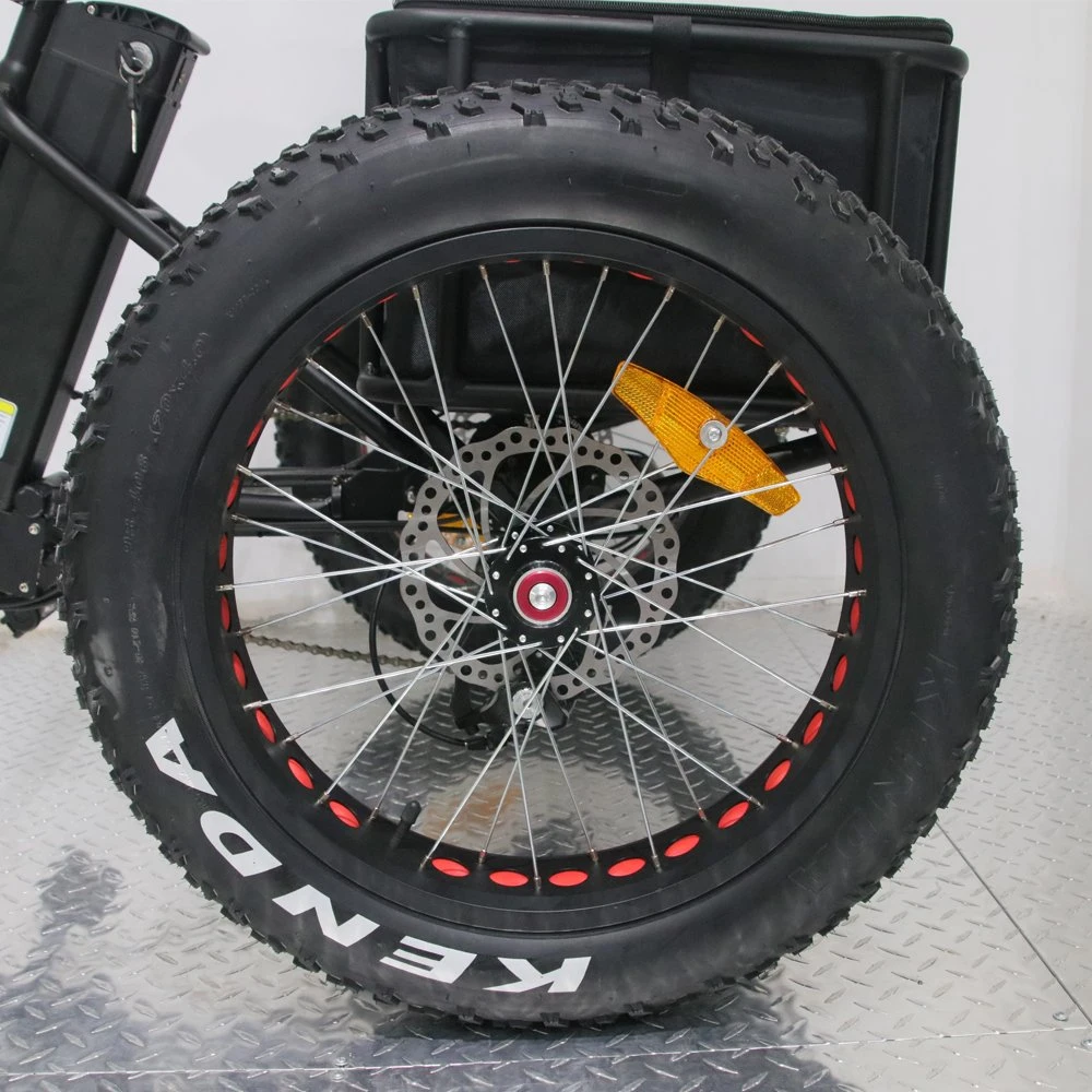 Bicicletta elettrica da corsa a 3 ruote /triciclo /triciclo con freni a disco
