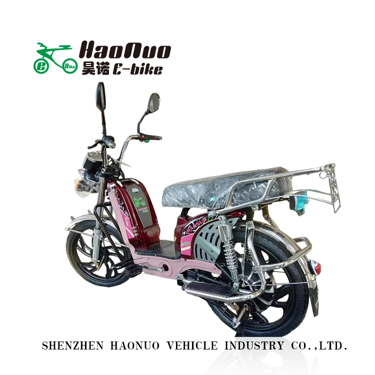 2023 FAT Tire 17inch 60V 500watt bici elettrica con pedale Per adulti