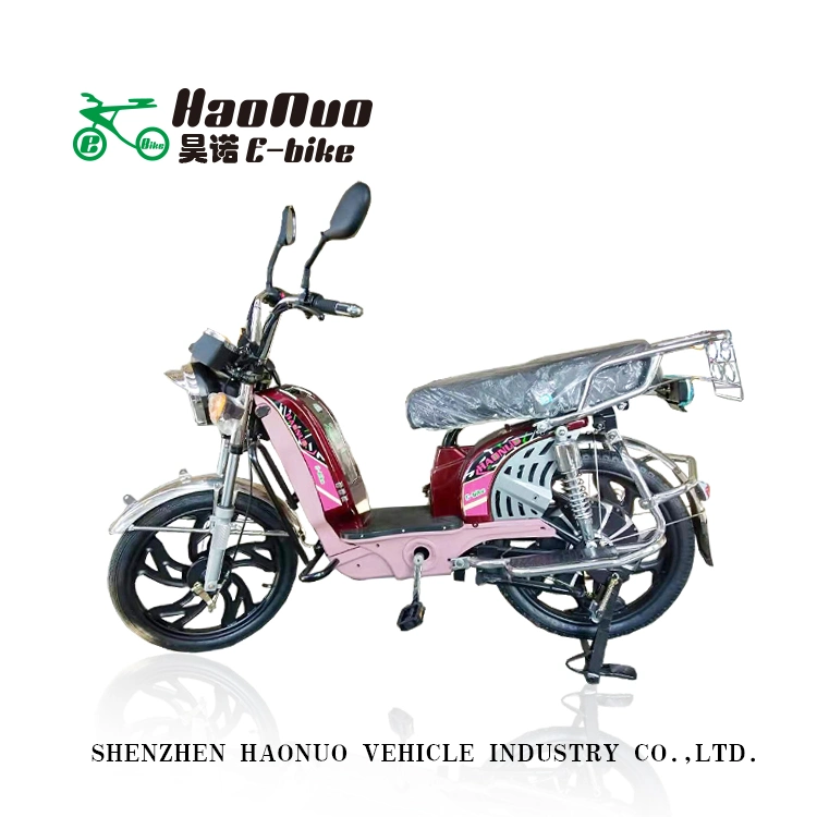 2023 FAT Tire 17inch 60V 500watt bici elettrica con pedale Per adulti