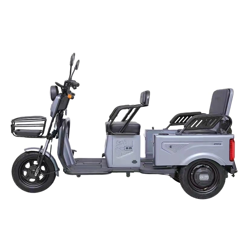 Bicicletta elettrica a tre ruote Saige EEC con triciclo elettrico a pedale da 1000 W. Per Disabilitato