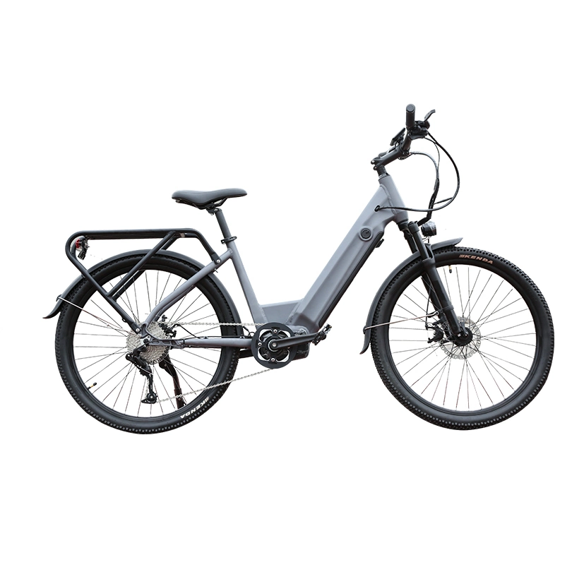 LG 18650 batteria agli ioni di litio 26 pollici bicicletta elettrica da citt&#224; - Adulti Bicicletta