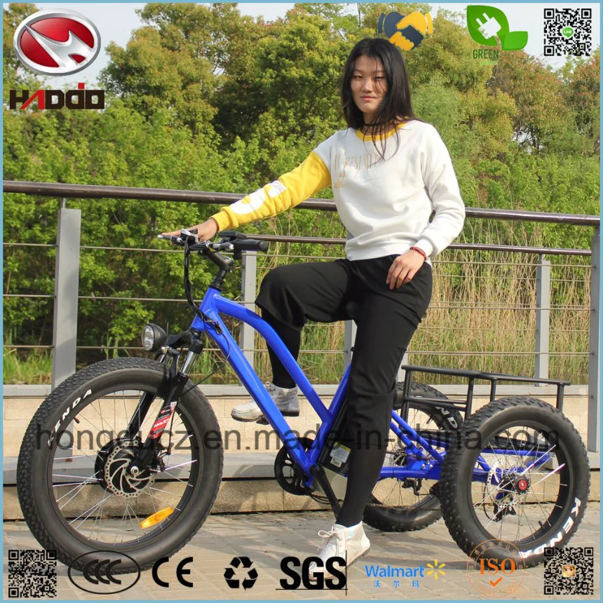 Bicicletta elettrica da corsa a 3 ruote /triciclo /triciclo con freni a disco