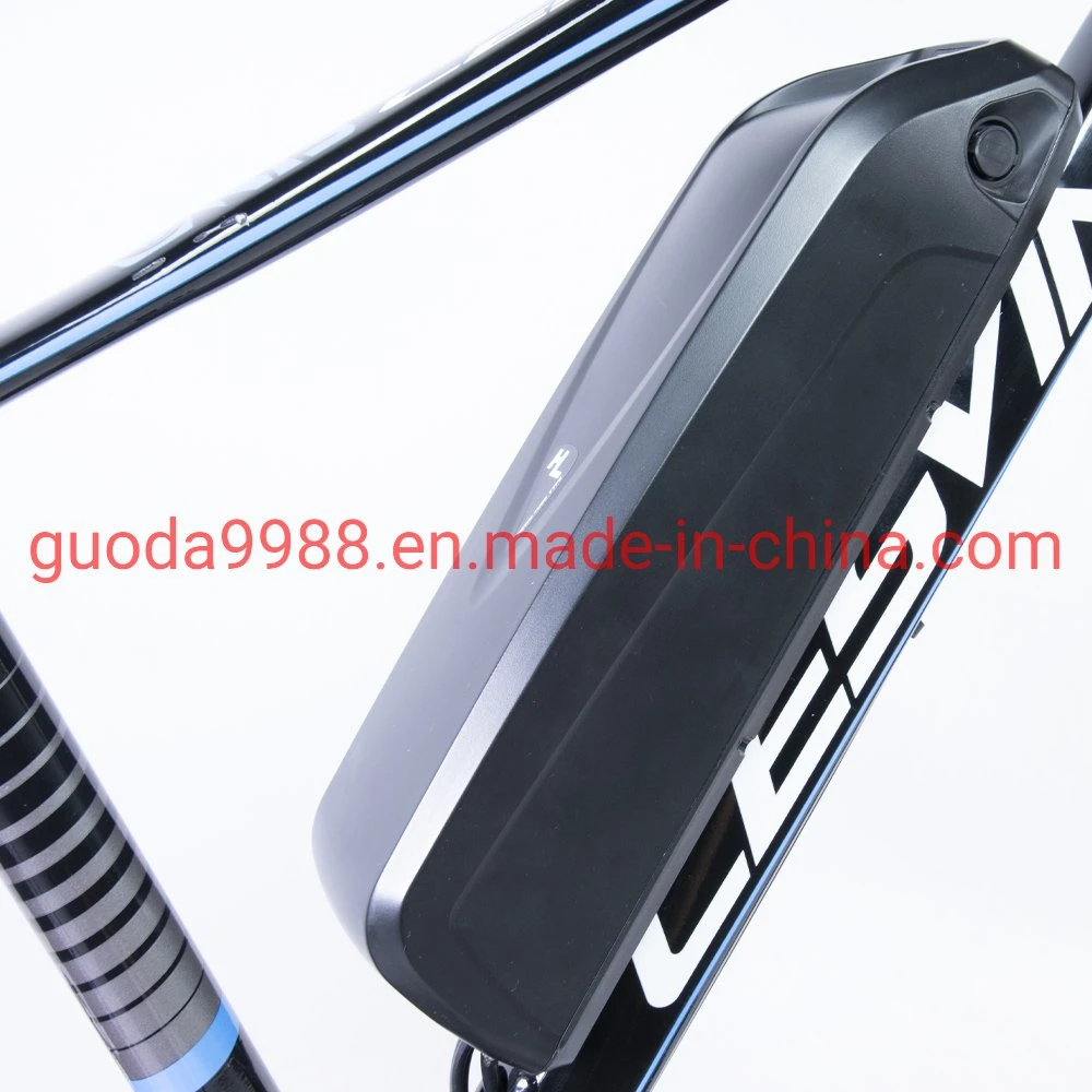 Bicicletta elettrica da 300 W con batteria al litio da 36 V