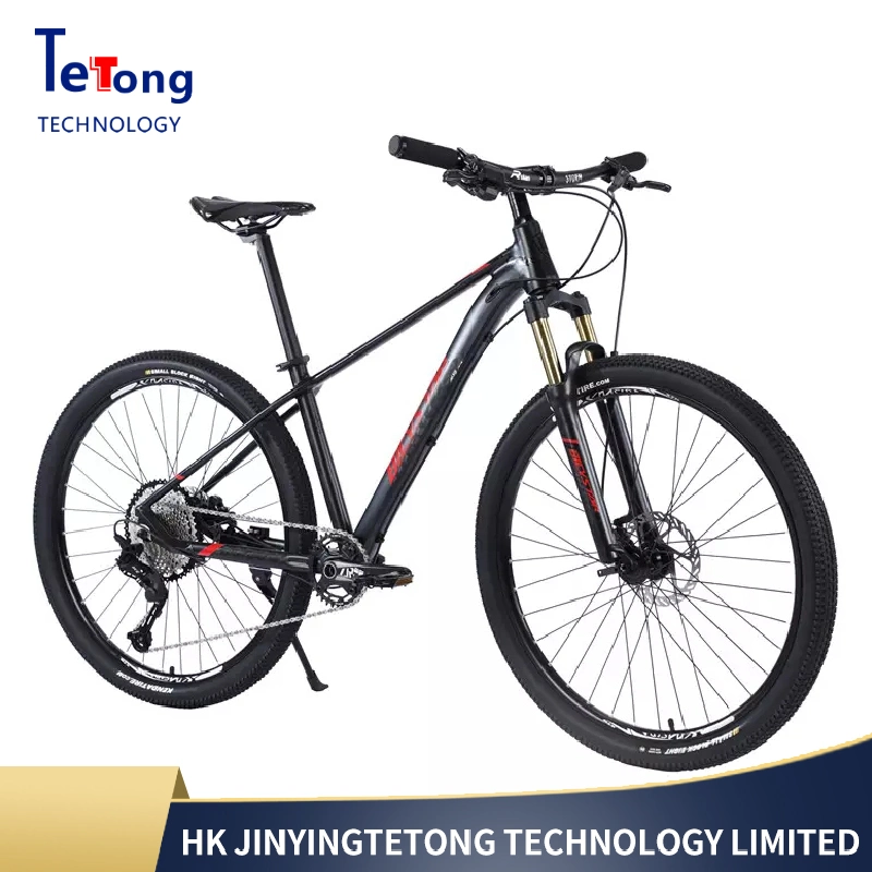 La bicicletta pi&#249; economica della Cina, la Mountain Bike a doppia sospensione